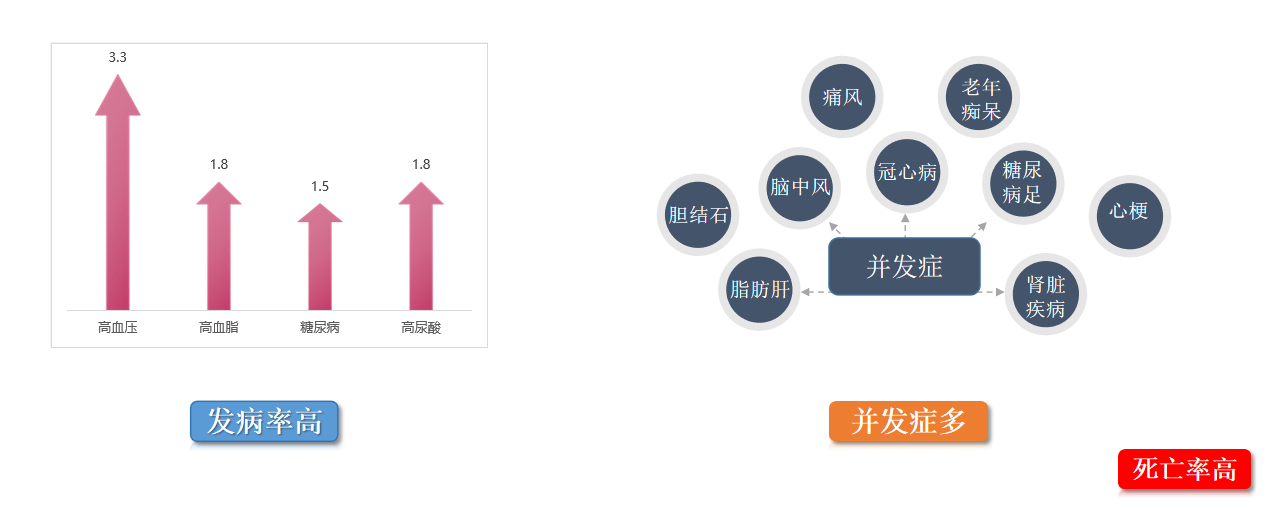 华稳健康 | 四高慢病如何防治,看湘雅赵教授怎么说!-企业新闻-专注尿酸血糖血脂检测仪器及生物试剂研发生产